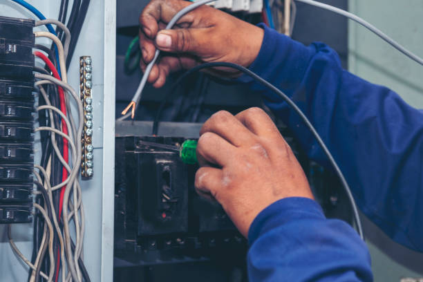 Best Licensed Electrician  in Little Falls, NY